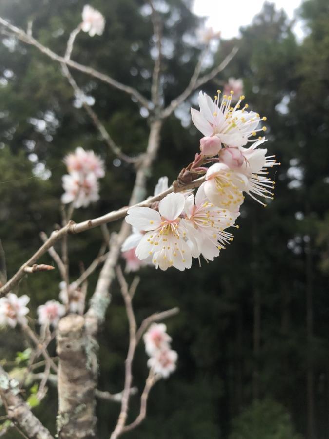 Chinshan Villa Zhongzheng  Buitenkant foto